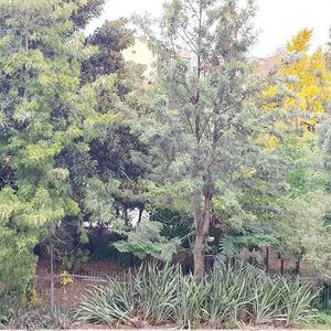 Property in Carre d'Argent