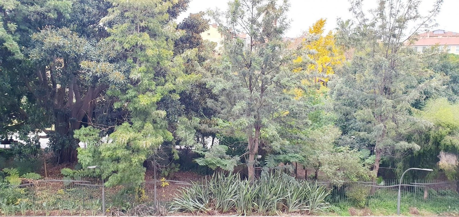 Property photo in Carre d'Argent