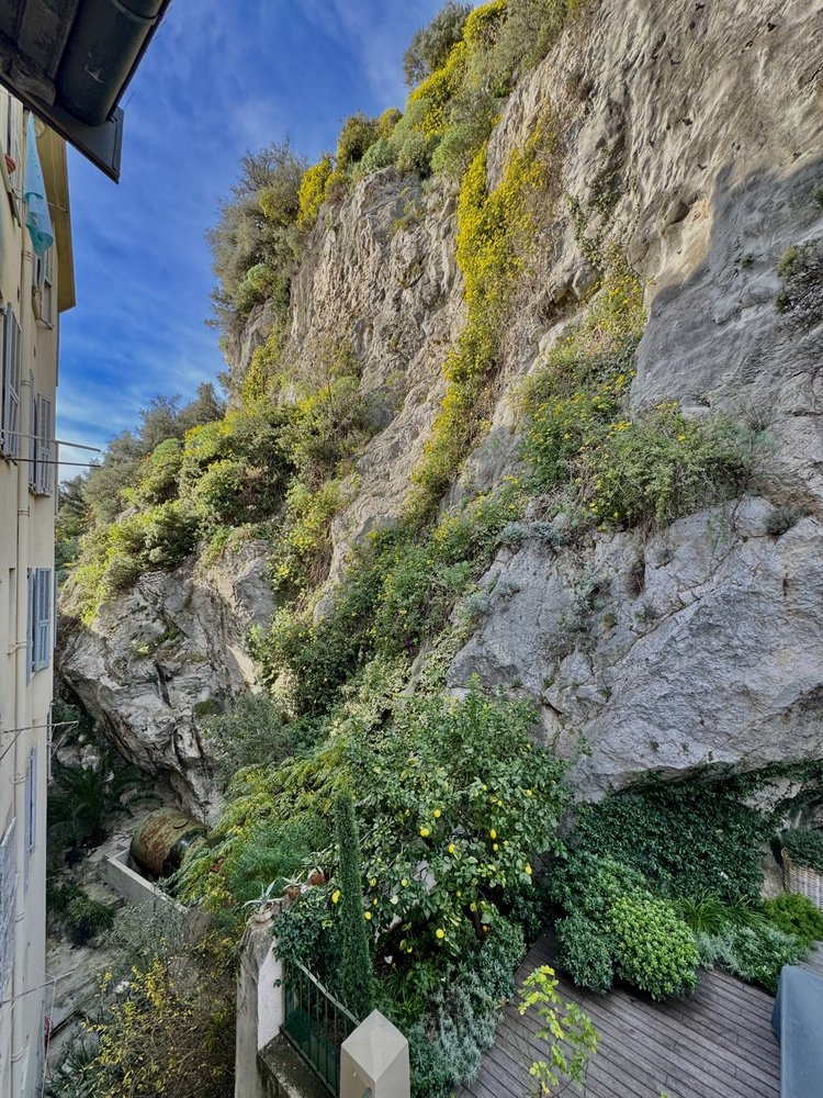 Property photo in Old Town