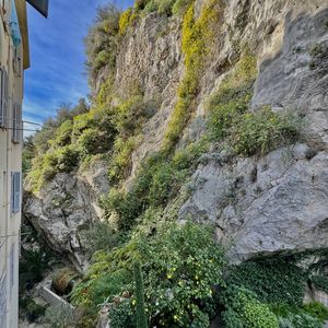 Property in Old Town