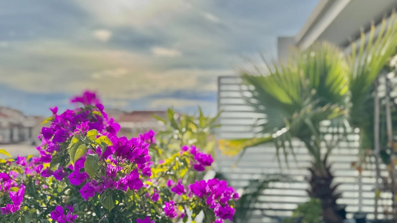 Property photo in Musicians Quarter