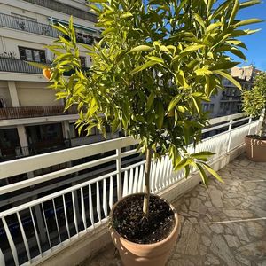 Property in Musicians Quarter