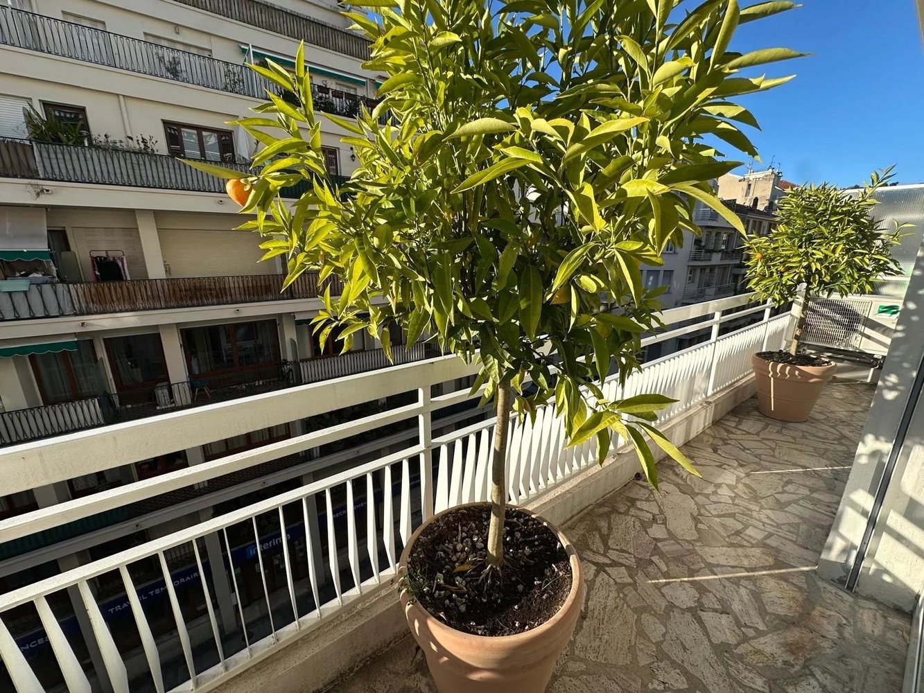 Property photo in Musicians Quarter