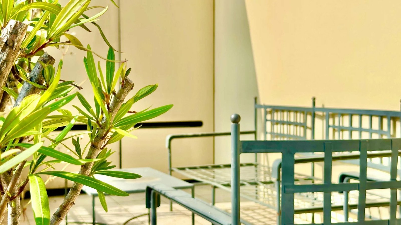 Property photo in Musicians Quarter