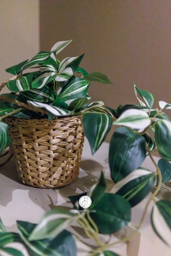 Property photo in Port