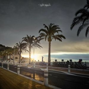 Property in Carre d'Or