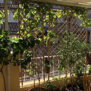 Property in Old Town