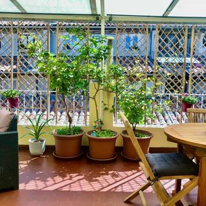 Property in Old Town