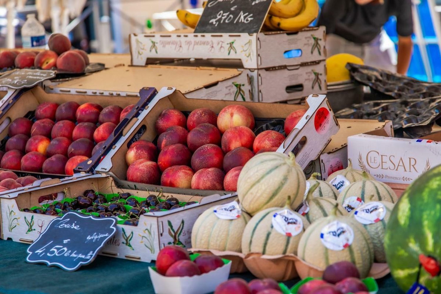 Property photo in Old Town