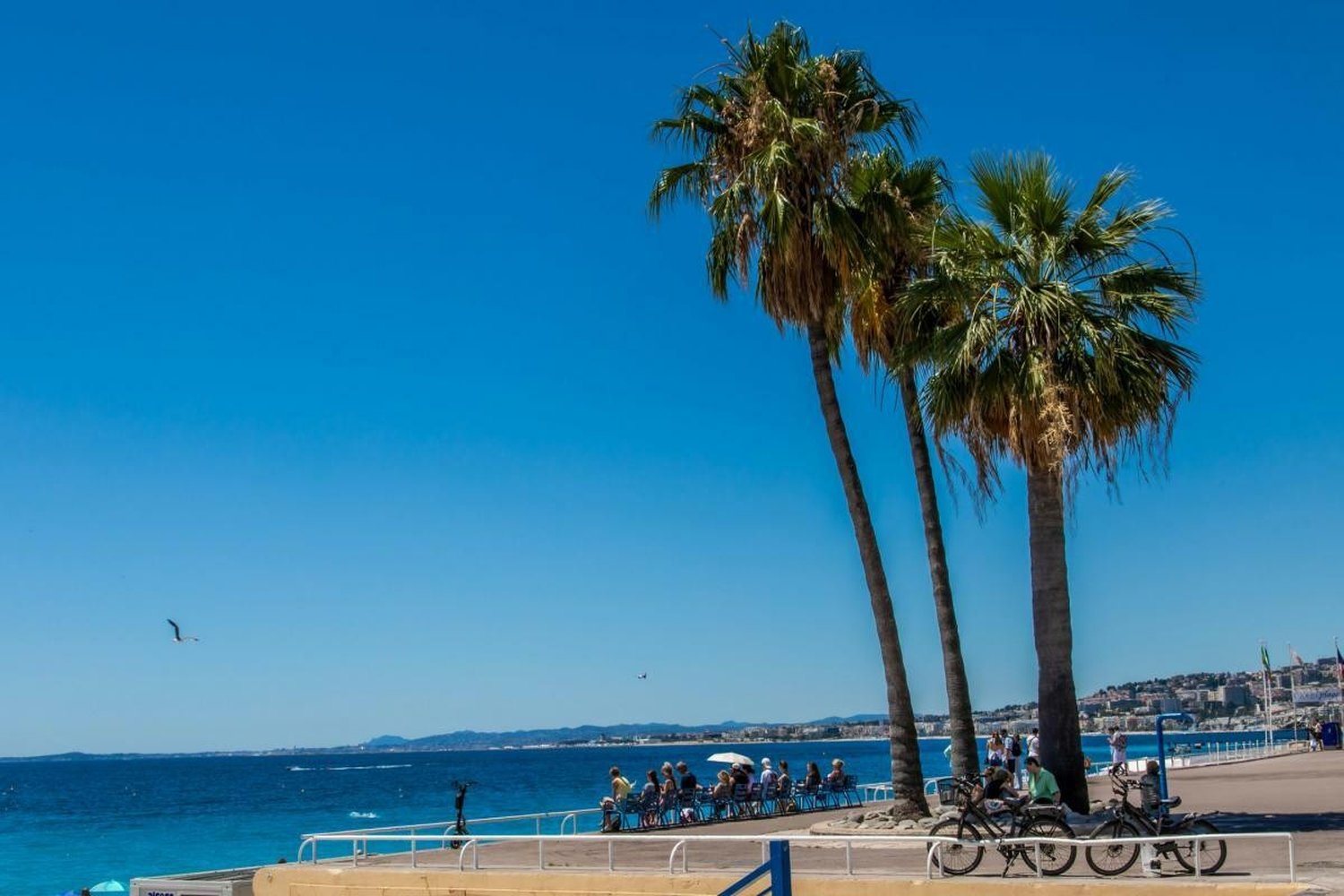 Property photo in Old Town