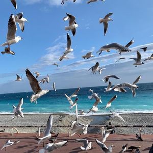 Property in Carre d'Or