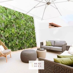 Property in Musicians Quarter