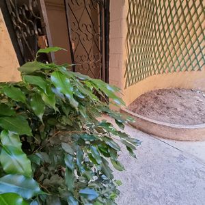 Property in Carre d'Argent