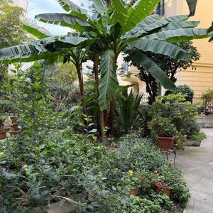 Property in Musicians Quarter