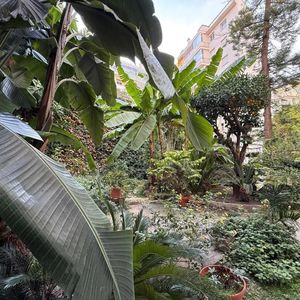 Property in Musicians Quarter