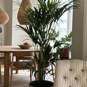 Property in Carre d'Or