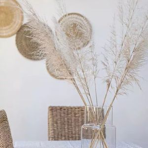 Property in Old Town