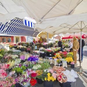 Property in Old Town