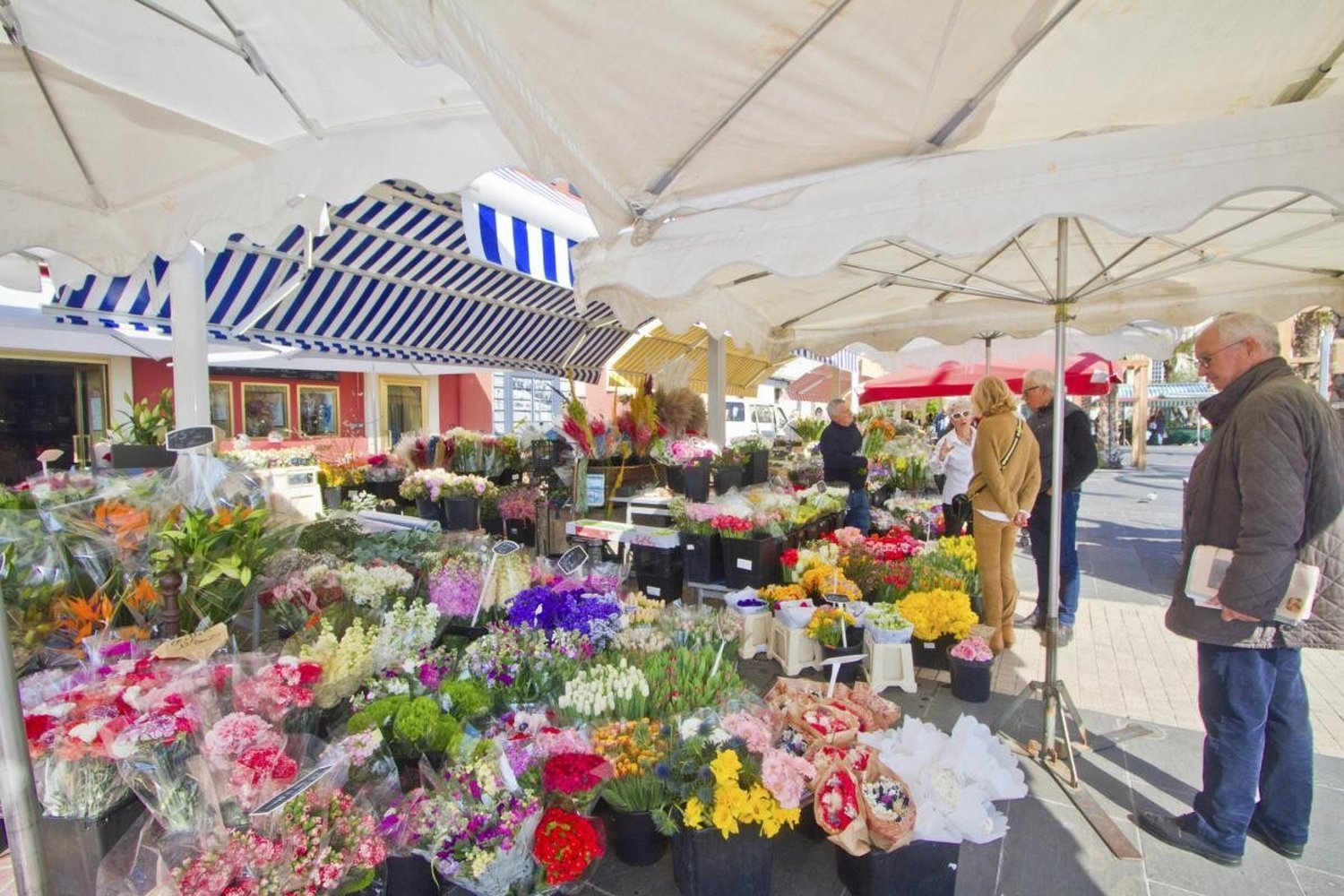 Property photo in Old Town