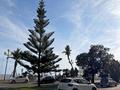 Thumbnail photo