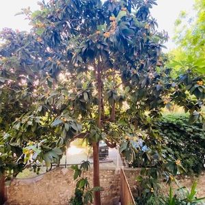 Property in Carre d'Or